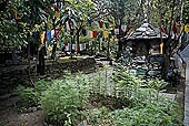 Kangra Valley - Norbulingka Institute - the garden 